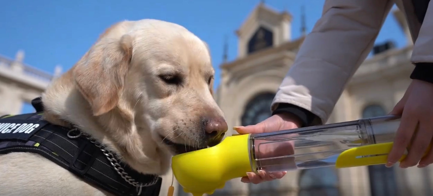 Outdoor-Wasserflasche mit Futterspender für Hunde- Perfekt für unterwegs